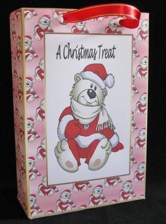 Polar Bear Gift Bag by Suzi Cooper