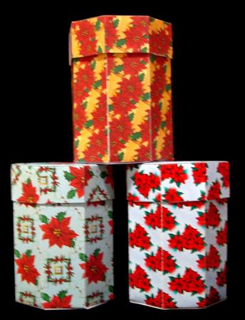 Set of 3 Octagonal Boxes - Poinsettia by Suzi Cooper
