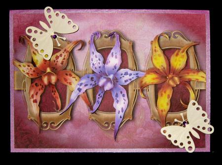 Stunning Orchid Trio + Decoupage by Suzi Cooper