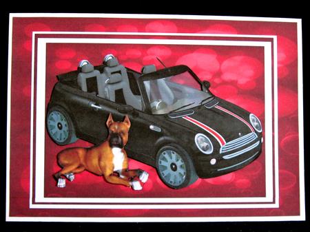 Posers New Mini by Suzi Cooper