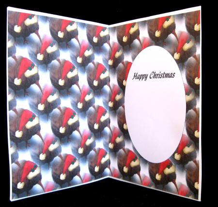 Christmas Kiwi Insert by Suzi Cooper