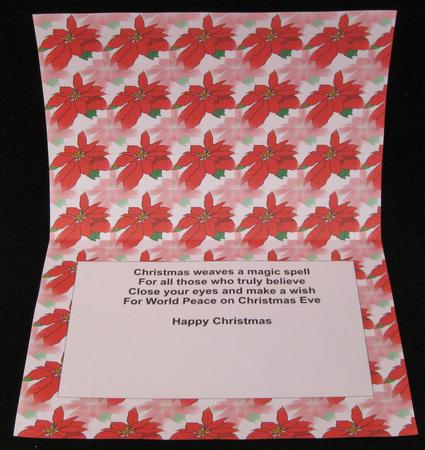 Christmas A5 Landscape Insert by Suzi Cooper