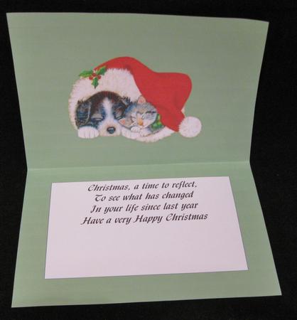 Set of 16 Christmas A5 Landscape Inserts by Suzi Cooper
