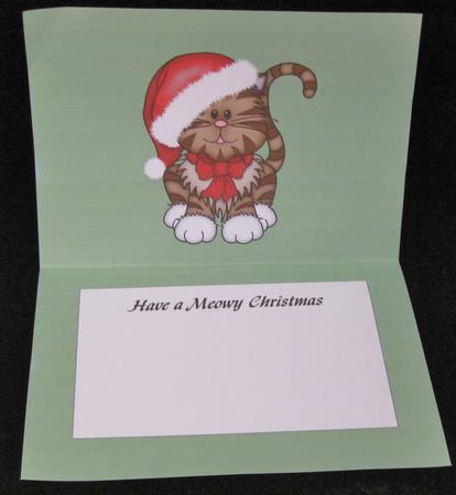 Christmas A5 Landscape Inserts by Suzi Cooper