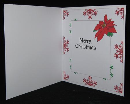 Poinsettia insert by Suzi Cooper