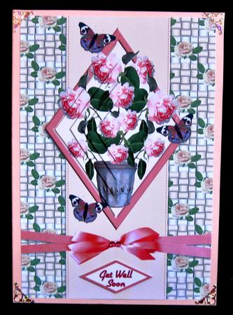 Pale Pink Roses by Suzi Cooper