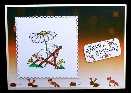 Kiddie Kits by Suzi Cooper