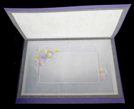 Floral and Fans Insert by Suzi Cooper
