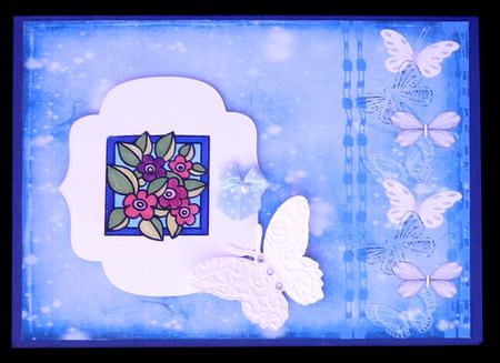 Butterfly Border by Suzi Cooper