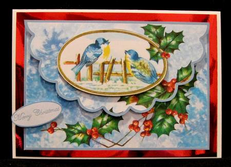 Christmas Birdies by Suzi Cooper
