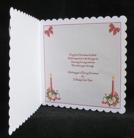 Holly & Berries 8x8ins Insert by Suzi Cooper