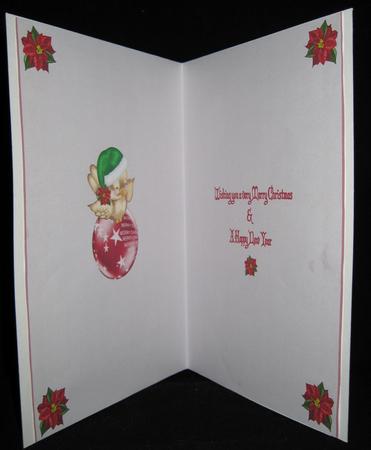 Christmas Robin Insert by Suzi Cooper