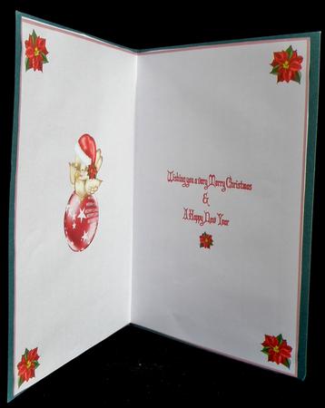 Christmas Robin Insert2 by Suzi Cooper