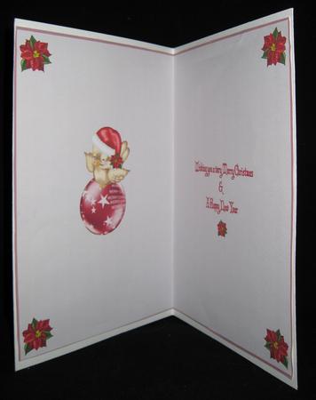 Christmas Robin Insert2 by Suzi Cooper