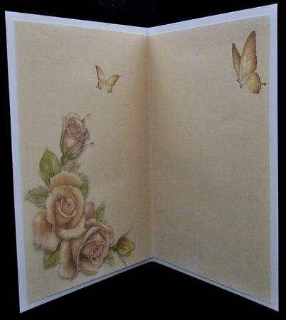 Butterflies and Roses Insert by Suzi Cooper