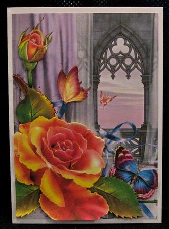 Rose and Butterfly Archway by Suzi Cooper