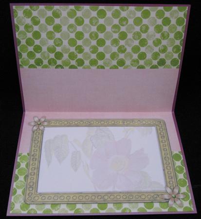 Dog Rose Watercolour Insert - Soft Pink & Pistachio by Suzi Cooper