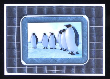 Emperor Penguin Family Card Front by Suzi Cooper