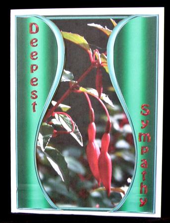 Deepest Sympathy Dark Red Fuchsia by Suzi Cooper