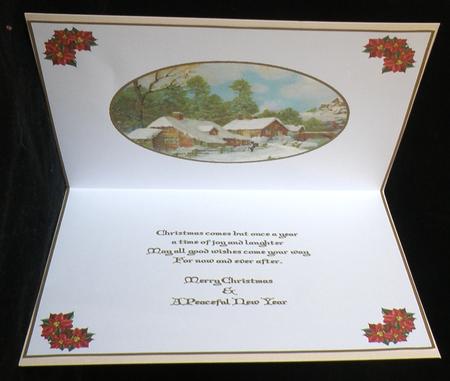 Christmas Winters Day Insert 1 by Suzi Cooper