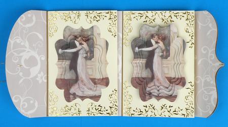 Strictly Dancing Couple Fancy Bracket Tunnel Sheet by Suzi Cooper