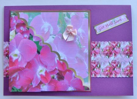 Pink Flowers by Suzi Cooper