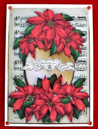 Beautiful Red Christmas Poinsettias by Suzi Cooper