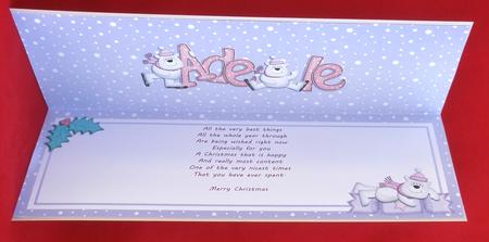 Xmas Adele Matching Large Dl Insert by Suzi Cooper