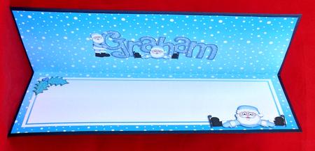 Xmas Graham Matching Large Dl Insert by Suzi Cooper