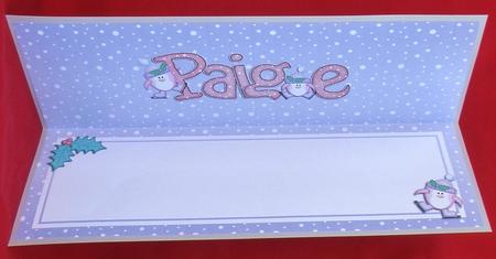 Xmas Paige Matching Large Dl Insert by Suzi Cooper