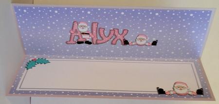 Xmas Alyx Matching Large Dl Insert by Suzi Cooper