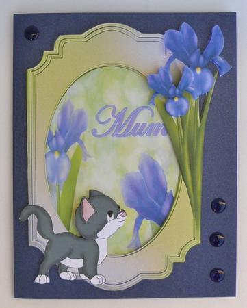 Cat Amongst the Iris by Suzi Cooper
