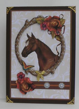 Horse Amongst Roses by Suzi Cooper