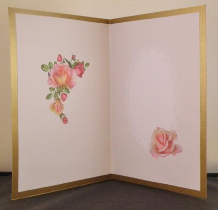 Pink Toned Inserts for Women All Occasions by Suzi Cooper