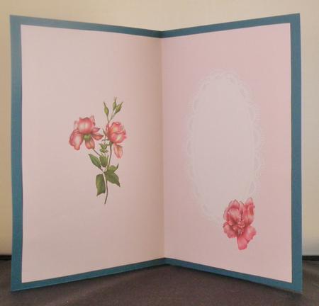 Pink Toned Inserts for Women All Occasions by Suzi Cooper
