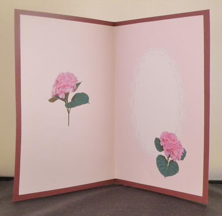 Pink Toned Inserts for Women All Occasions by Suzi Cooper