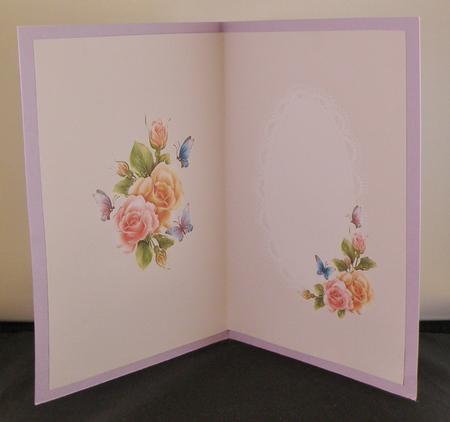 Pink Toned Inserts for Women All Occasions by Suzi Cooper