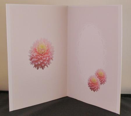 Pink Toned Inserts for Women All Occasions by Suzi Cooper