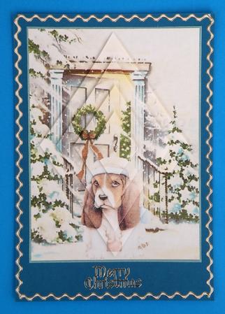 Out in the Cold by Suzi Cooper