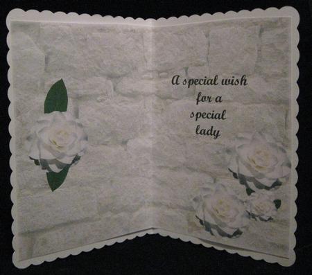 Insert a Special Wish for a Special Lady by Suzi Cooper