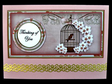 Pink Birdcage Thinking of You Dl Decoupage Topper by Suzi Cooper