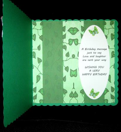 Beautiful Butterflies with Love Dl Insert - Mint by Suzi Cooper