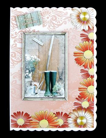 Orange Daisy Backing Sheet by Suzi Cooper