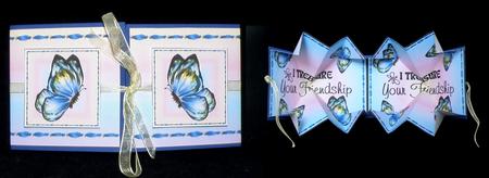 Exploding Card - Treasure Your Friendship by Suzi Cooper