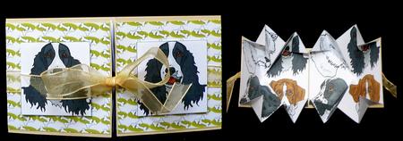 Exloding Card, Dogs by Suzi Cooper