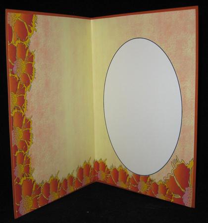 2 Tone Orange Daisy Insert 2 by Suzi Cooper