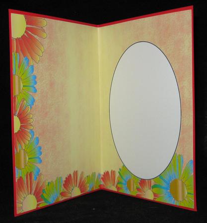 2 Tone Orange Daisy Insert 4 by Suzi Cooper