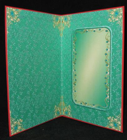Glamorous Lady in Green Insert by Suzi Cooper