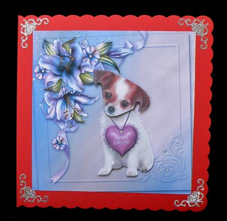 Never Leave Me Chihuahua by Suzi Cooper