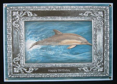Beautiful Dolphin Quick Card by Suzi Cooper
